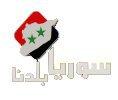 «سوريا بلدنا»، و«فرح»، و«لولو»: افتتاح فضائيات مؤيدة للسلطة... عبر الأغنية