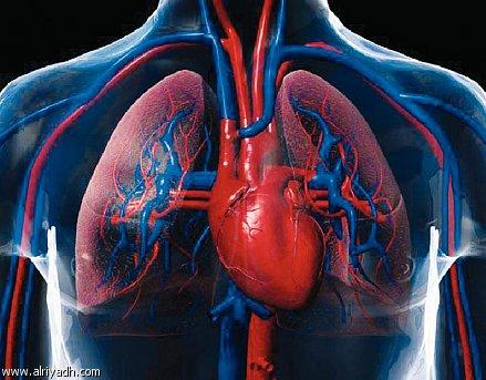 دراسة: التمرينات الرياضية تحفظ عضلة القلب مع تقدم العمر 